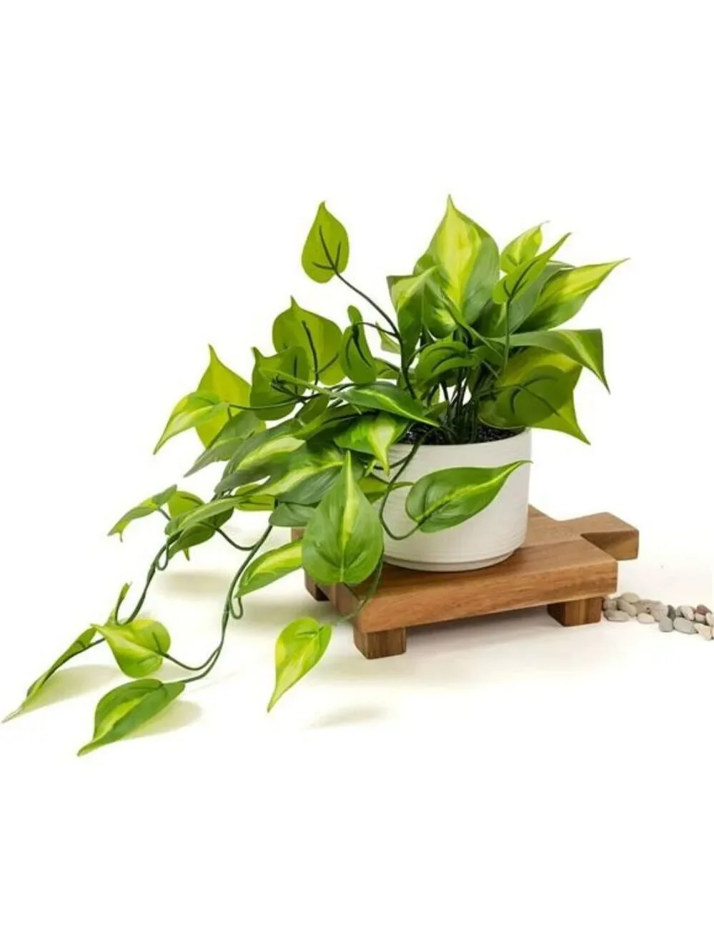 Artificial pothos plant faux trailing ivy in ceramic pot shelf decor indoor outd